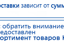 Электрод Вертебра для спины  купить в Таганроге, Выносные электроды купить в Таганроге, Дэнас официальный сайт denasolm.ru
